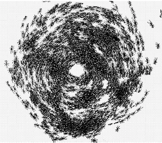 Spirale de la mort